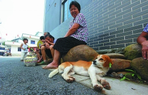 10668074_246436 10668074_246436