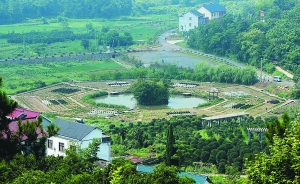 10668075_682368 10668075_682368